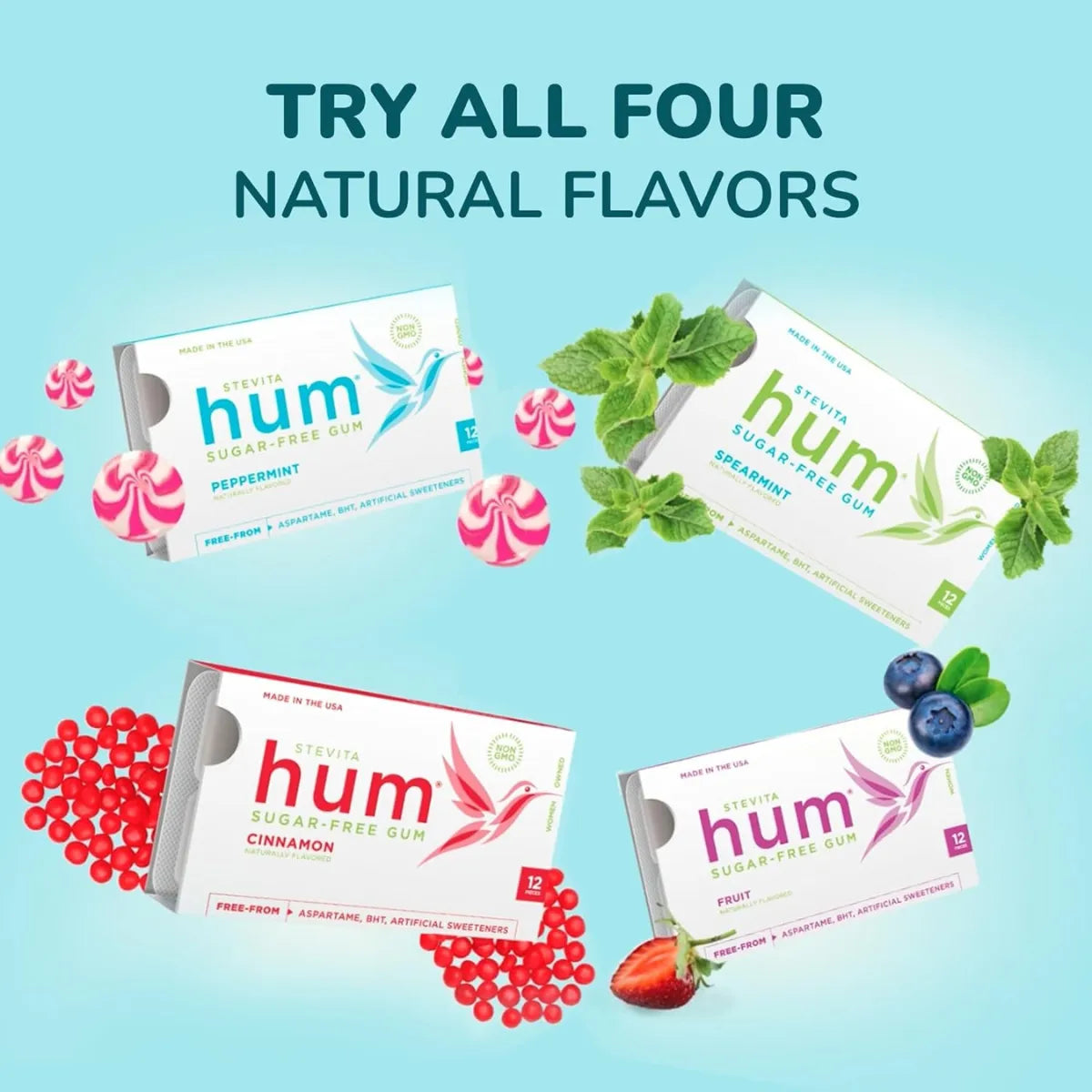 Stevita Hum Fruit Sugar-Free Gum – Keto-Friendly, Non-GMO, Gluten-Free Gum - 12 Pieces, Single Pack