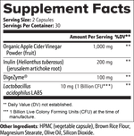 Gut Health