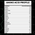Chocolate Plant Protein