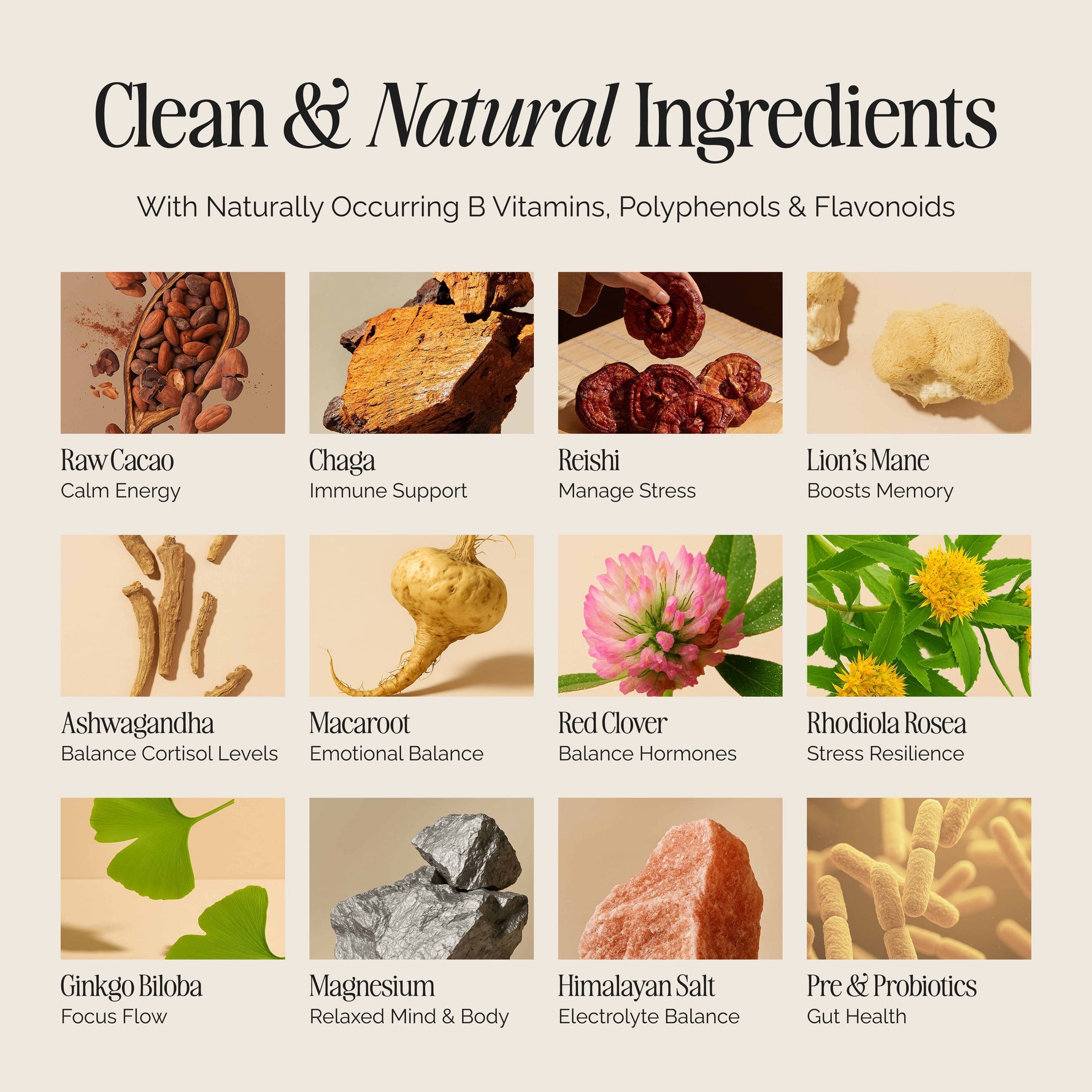 Neurobloom Cacao Superblend