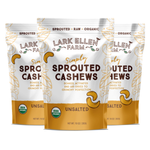 Cashews Unsalted, Sprouted Organic Snack