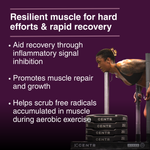 Grit Fuel Endurance Capsules - 30 Day Supply