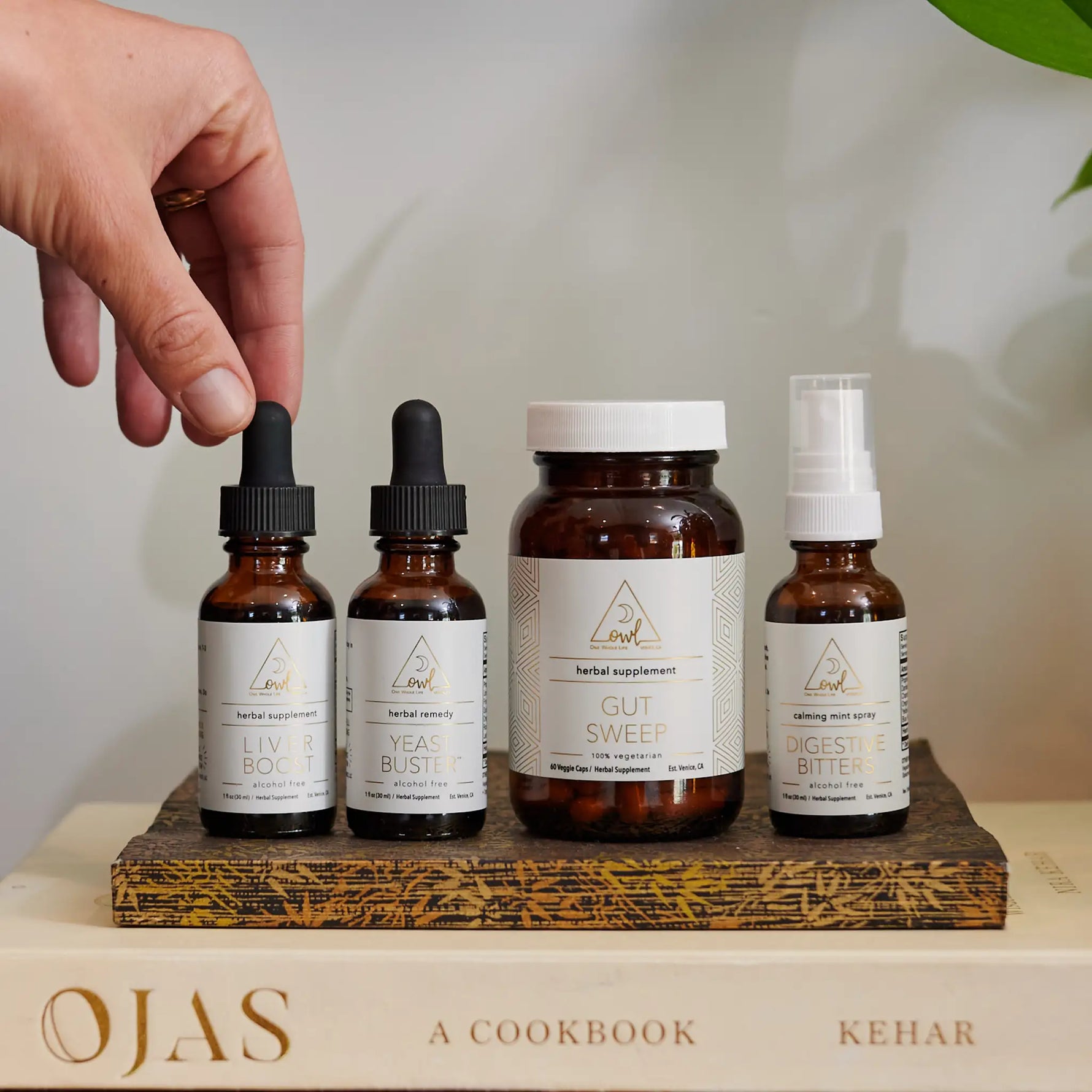 OWL Supplement Kit Digestive Care