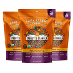 Pumpkin Fig Sprouted Granola Snack
