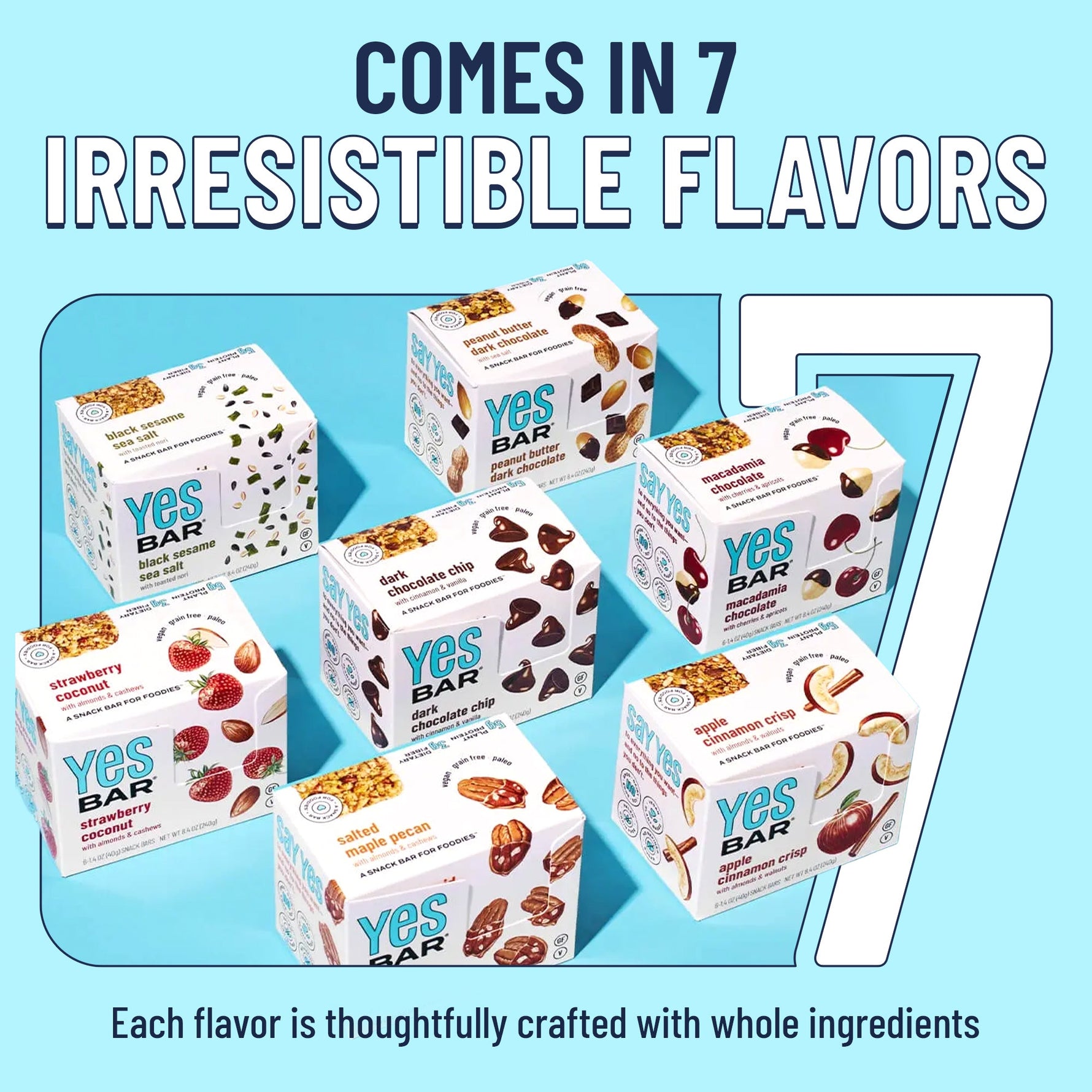 Peanut Butter Dark Chocolate Six Pack Gluten Free Vegan Organic