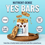 Dark Chocolate Chip Six Pack Organic Vegan Gluten Free