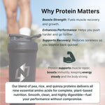 Vegan Protein Powder with Creatine | Single-Serve Packets