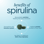 ENERGYbits® Spirulina | Large Bag
