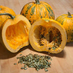 Styrian Pumpkin Seeds, Sprouted Organic Snack