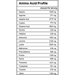 Whey Protein - Unflavored