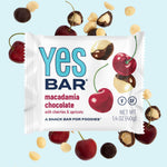 Macadamia Chocolate Six Pack Gluten Free Vegan Organic